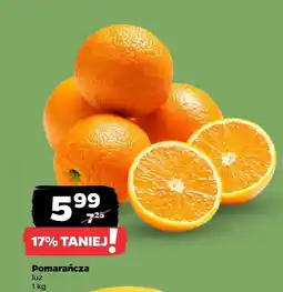 Netto Pomarańcza luz Netto oferta