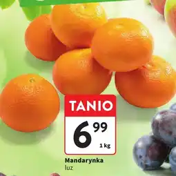 Intermarche Mandarynka luz Intermarche oferta
