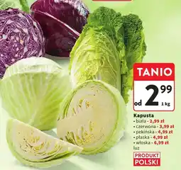 Intermarche Kapusta włoska Intermarche oferta