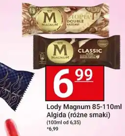 Hitpol Lody Magnum oferta