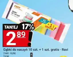 Hitpol Gąbki do naczyń Ravi oferta