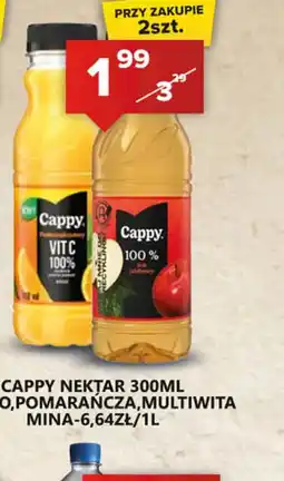 Spiżarnia Smakosza Cappy Nektar oferta