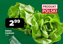 Netto Sałata masłowa z Zieleniaka oferta