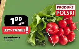 Netto Rzodkiewka z Zieleniaka oferta