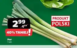 Netto Por z Zieleniaka oferta