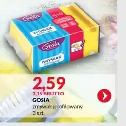 Eurocash Zmywak profilowany Gosia oferta