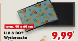Kaufland Liv & Bo Wycieraczka oferta