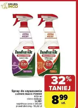 Carrefour Odtłuszczacz Ludwik Maxx Power oferta