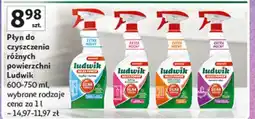 Auchan Płyn czyszczący kamień i rdza Ludwik Maxx Power oferta