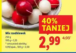 Lidl Mix rzodkiewek Lidl oferta