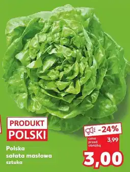 Kaufland Sałata masłowa Kaufland oferta