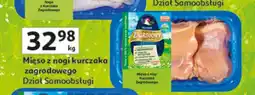 Auchan Mięso z nogi kurczaka zagrodowego Zagrodowy oferta