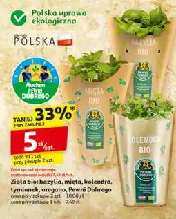 Auchan Zioła bio: bazylia, mięta, kolendra, tymianek, oregano Pewni Dobrego oferta