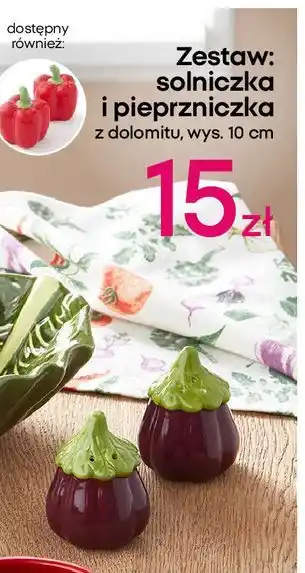 Pepco Solniczka + pieprzniczka oferta