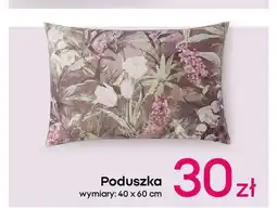 Pepco Poduszka 40 x 60 cm oferta