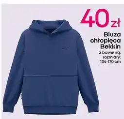 Pepco Bluza chłopięca 134-170 cm Bekkin oferta