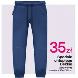 Pepco Spodnie dresowe chłopięce 134-170 cm Bekkin oferta