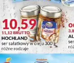 Eurocash Ser sałatkowy w oleju Hochland oferta