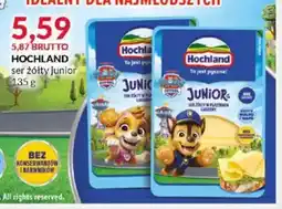 Eurocash Ser żółty Hochland Junior oferta