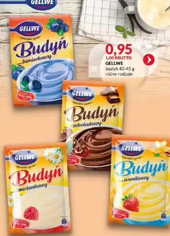 Eurocash Budyń Gellwe oferta