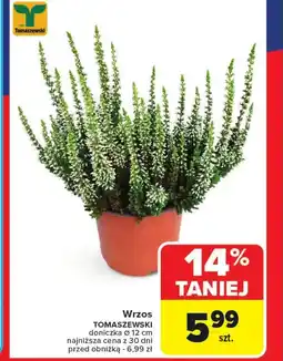 Carrefour Wrzos Tomaszewski oferta