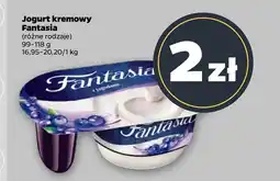 Netto Jogurt Fantasia oferta