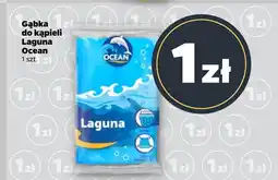 Netto Gąbka Laguna oferta