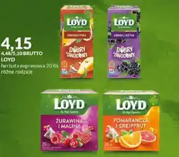 Eurocash Herbata Loyd oferta
