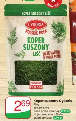 Dino Koper suszony Cykoria oferta