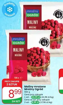 Dino Maliny mrożone Mroźny Ogród oferta
