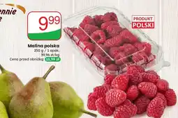 Dino Malina polska Dino oferta