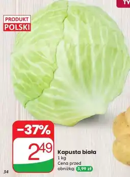 Dino Kapusta biała Codziennie świeże oferta