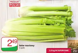 Dino Seler naciowy Codziennie świeże oferta