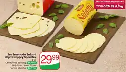 Dino Ser Serenada Salami dojrzewający Spomlek oferta