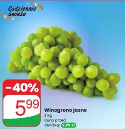 Dino Winogrono jasne Dino oferta