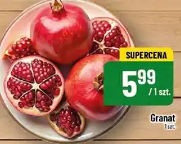 Polomarket Granat POLOmarket oferta