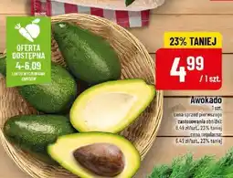 Polomarket Awokado POLOmarket oferta