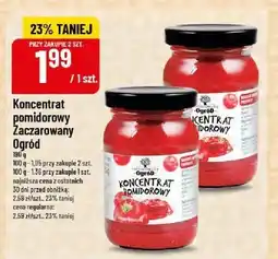 Polomarket Koncentrat pomidorowy Zaczarowany Ogród oferta