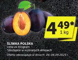 Groszek Śliwka polska Groszek oferta