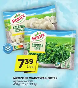 ABC Mrożone warzywa Hortex oferta