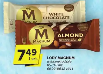Groszek Lody Magnum oferta