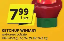 Groszek Ketchup Winiary oferta