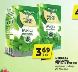 ABC Herbata ziołowa Zielnik Polski Herbapol oferta