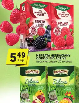 ABC Herbata Herbaciany Ogród, Big Active Herbapol oferta