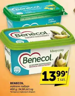 Groszek Benecol klasyczny oferta