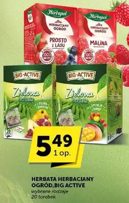 Groszek Herbata Herbaciany Ogród Big Active różne rodzaje oferta