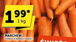Groszek Marchew Groszek oferta