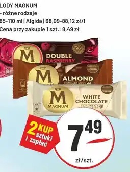 Sedal Lody Magnum oferta