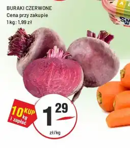 Sedal Buraki czerwone oferta