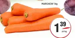Sedal Marchew oferta